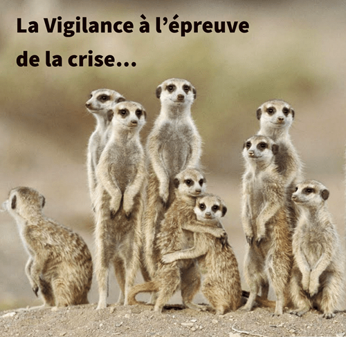 Image de suricates aux aguets avec pour titre "La Vigilance à l'épreuve de la crise"