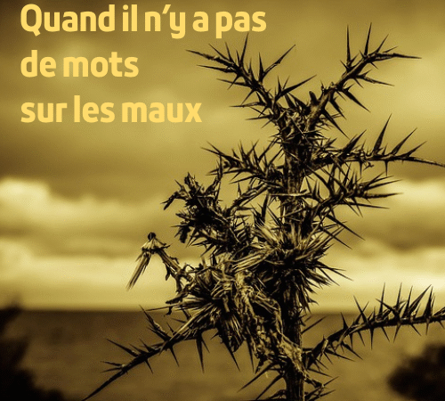 image de chardon avec pour titre 