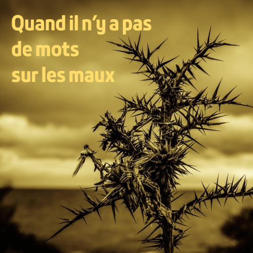 image d'un chardon avec pour titre "quand il n'y a aps de mots sur les maux"