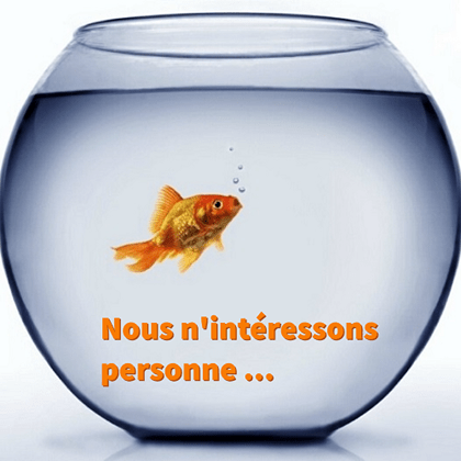 Image d'un poisson rouge seul dans une boule de verre vide et pleine d'eau avec pour titre 