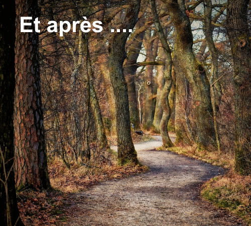 chemin sinueux en forêt avec pour titre : 